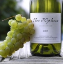 Clos d'Opleeuw