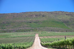 Zuid Afrika