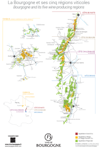 Overzichtskaart Bourgogne - afbeelding bij degustatieavond 15 oktober 2026 - bron vins-bourgogne.fr
